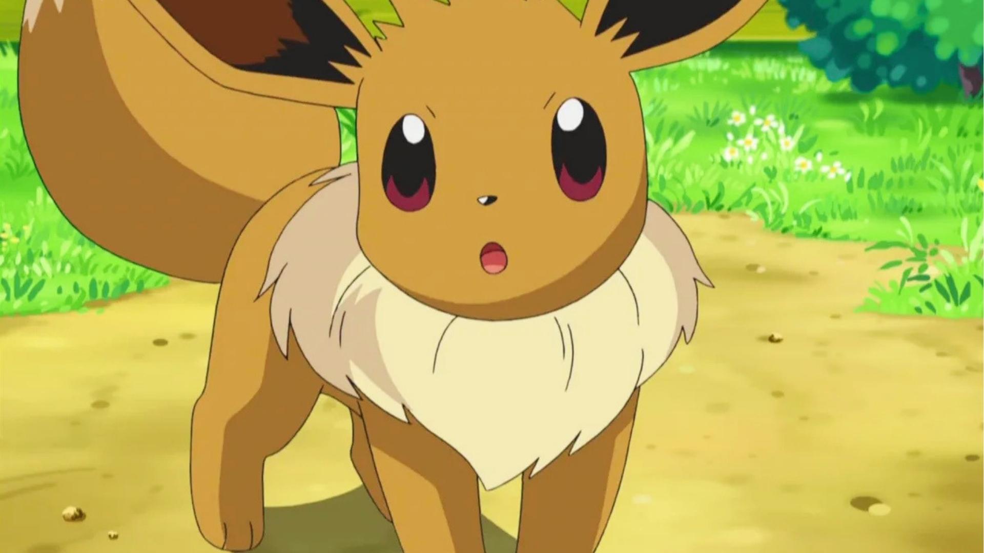 Close-up of cute Eevee with big brown eyes and fluffy neck ruff standing on a dirt path with green grass and flowers behind.