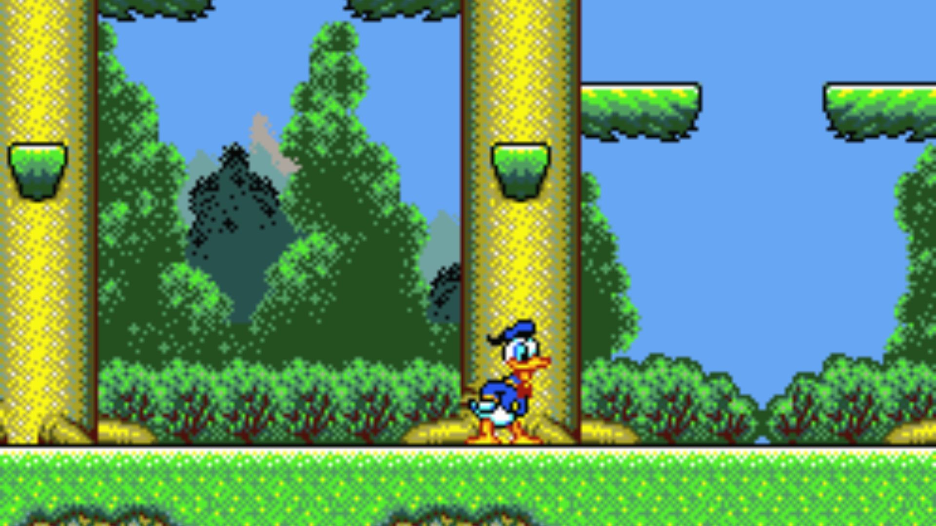 Donald walks through forest with tall yellow trees, Master System The Lucky Dime Caper Trouble platformer stage